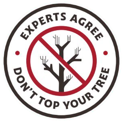 experts-agree.png
