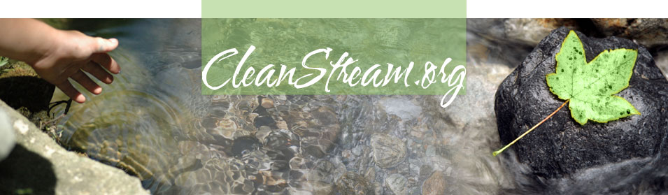 CleanStream.org