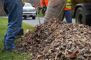 Crews collecting a pile of leaves.