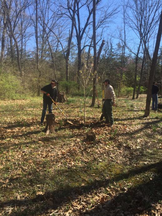 Planting Trees During Blacks Run Clean Up Day