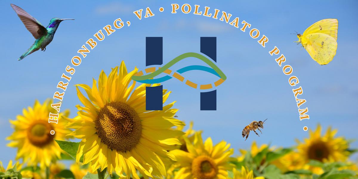 Pollinators: Harrisonburg VA