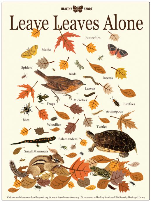 Leave leaves alone image with benefits