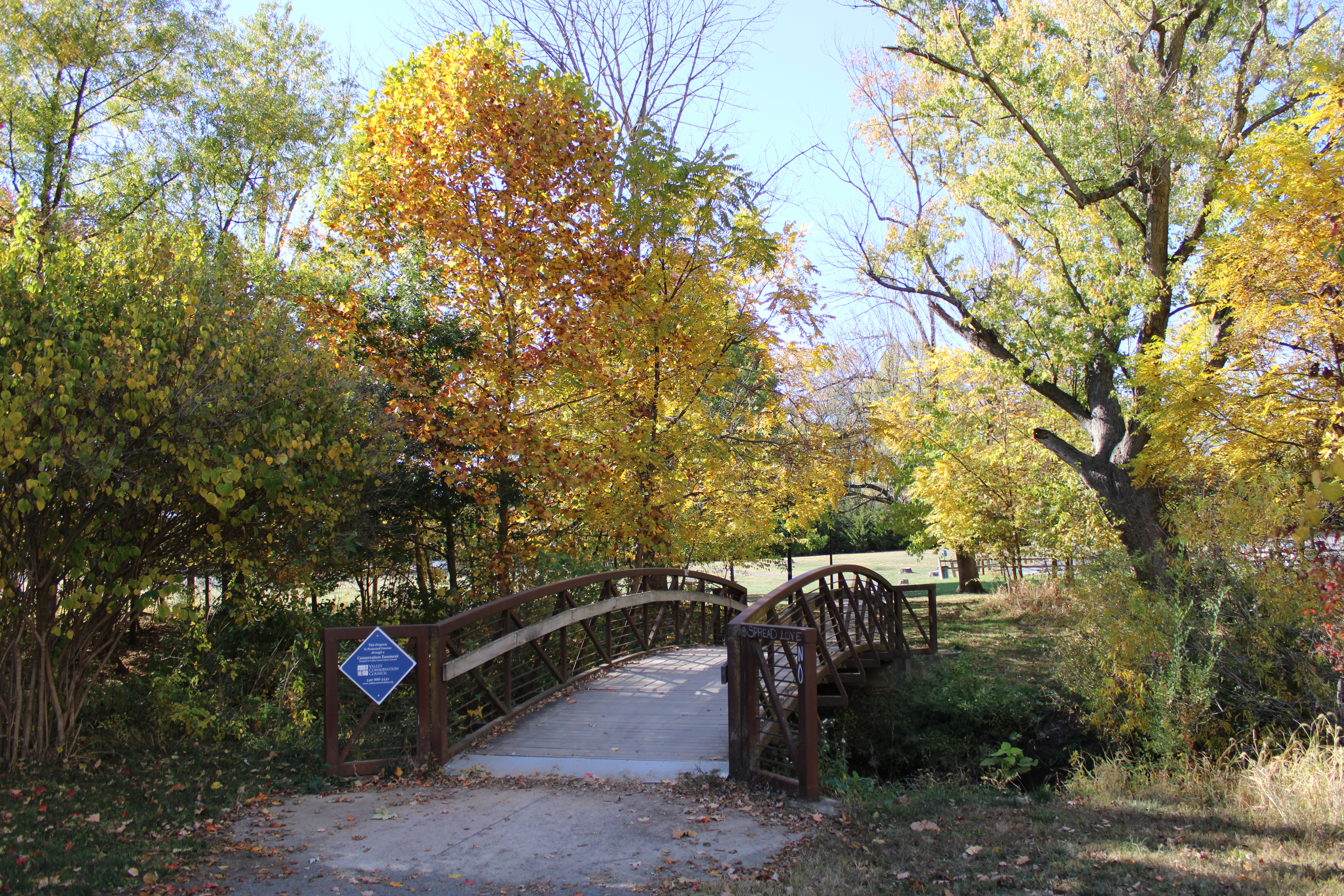 Image of small pedestrian bridge going over Blacks Run in Purcell Park.