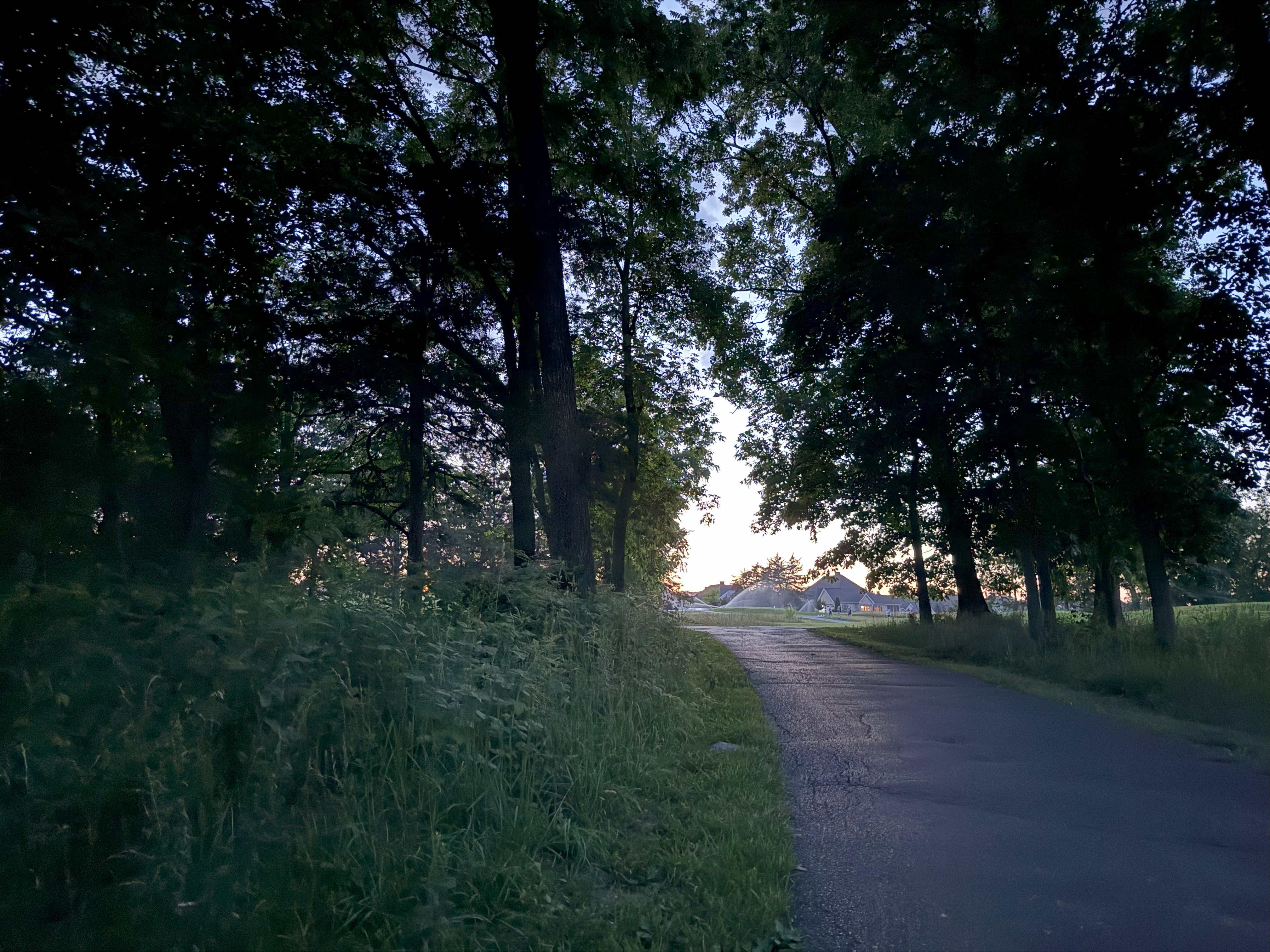 Image of paved path with grass and trees on both sides